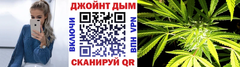 Галлюциногенные грибы Иваново