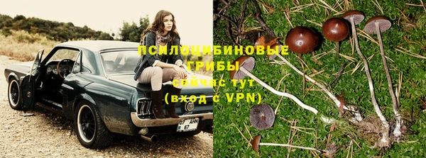 дистиллят марихуана Магас