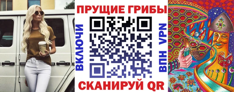гидра ТОР  Иваново  Псилоцибиновые грибы Psilocybine cubensis 