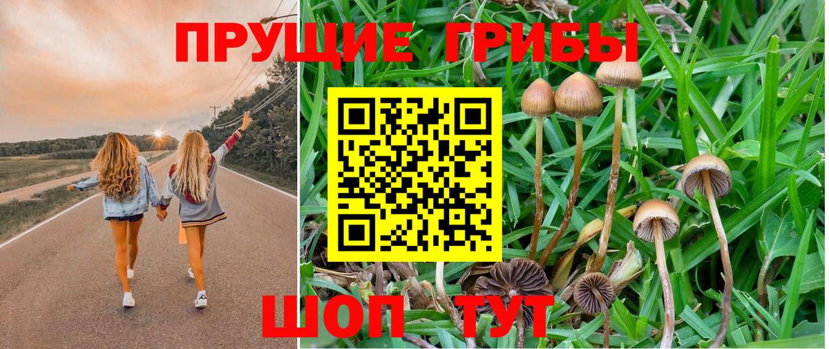 Галлюциногенные грибы ЛСД Иваново